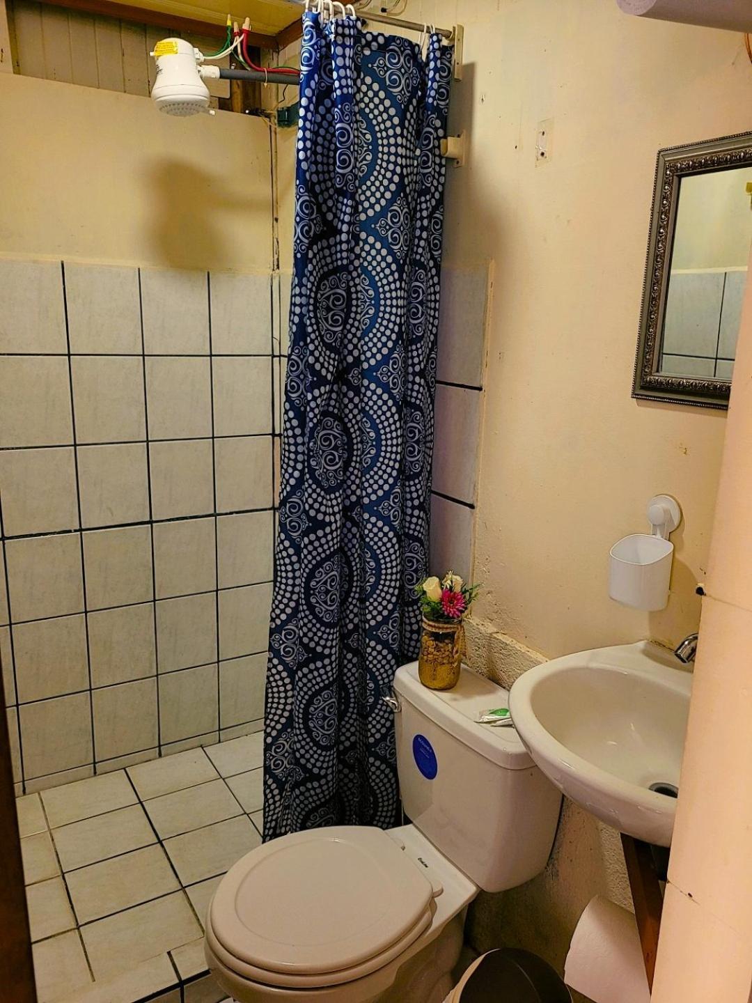 Tico Bed & Breakfast La Fortuna المظهر الخارجي الصورة